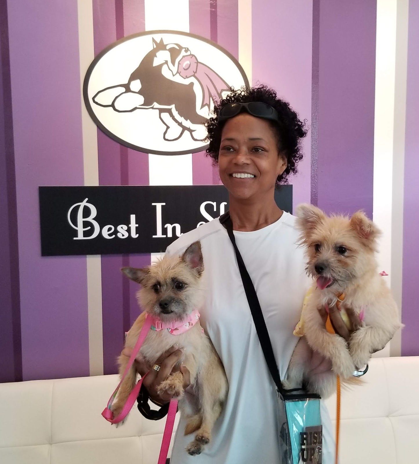 Our team at Best In Show